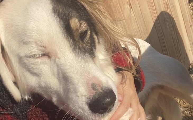 Zbiórka Leczenie Atlasa - zdjęcie główne