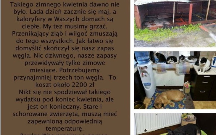 Zbiórka Grosik na węgiel !!! - zdjęcie główne
