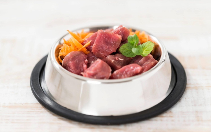 Miseczka z surowym mięsem i marchewką dla psa.