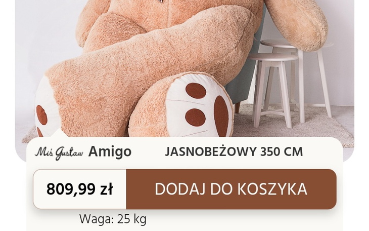 Zbiórka Pozwólmy spełnić marzenie - zdjęcie główne