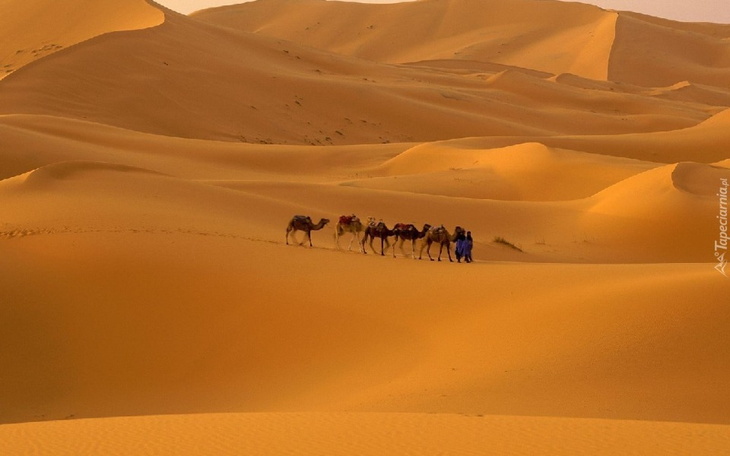 Zbiórka Na życie ,na dzieci - zdjęcie główne