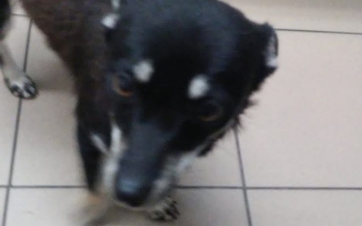 Zbiórka Leśny Duszek i banda - zdjęcie główne