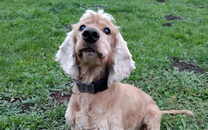 Zbiórka Na faktury za hoteliki w 2022 - zdjęcie główne