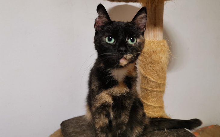 Zbiórka Dopłata za energię w 2022 i 2023 - zdjęcie główne