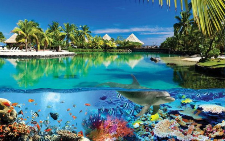 Zbiórka Na Bilet w Jedną Stronę - zdjęcie główne