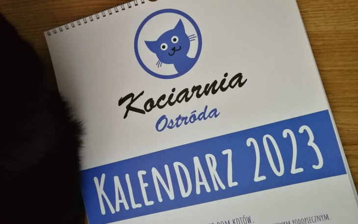Zbiórka Kalendarz Kociarni 2023 - zdjęcie główne