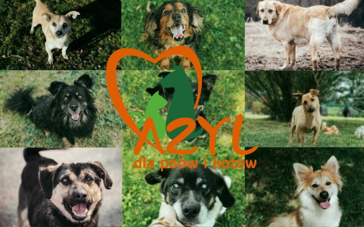 Zbiórka Zbiórka na Tarnowski Azyl - zdjęcie główne