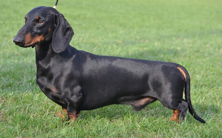 Zbiórka potrzebuje na rozwijanie się - zdjęcie główne