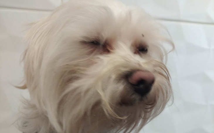 Zbiórka Lolek i Miki - zdjęcie główne