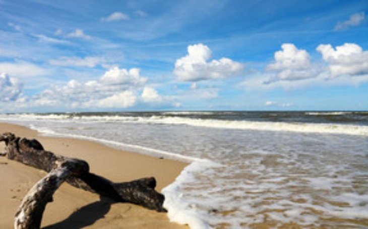 Zbiórka Marzenie mojego chorego taty - zdjęcie główne