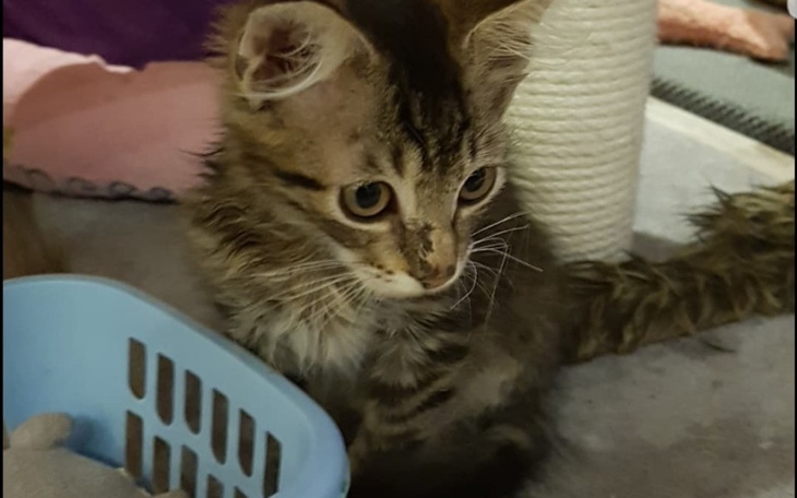 Zbiórka Fip rzucił nam rękawicę do walki - zdjęcie główne