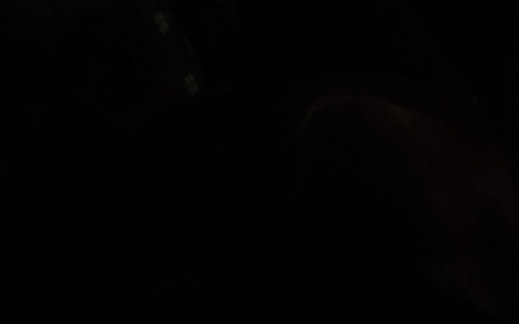 Zbiórka Help Ukrainie, Wielki Naród - zdjęcie główne