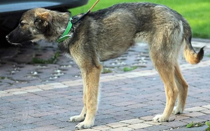 Zbiórka wyprawka dla Lotki - zdjęcie główne