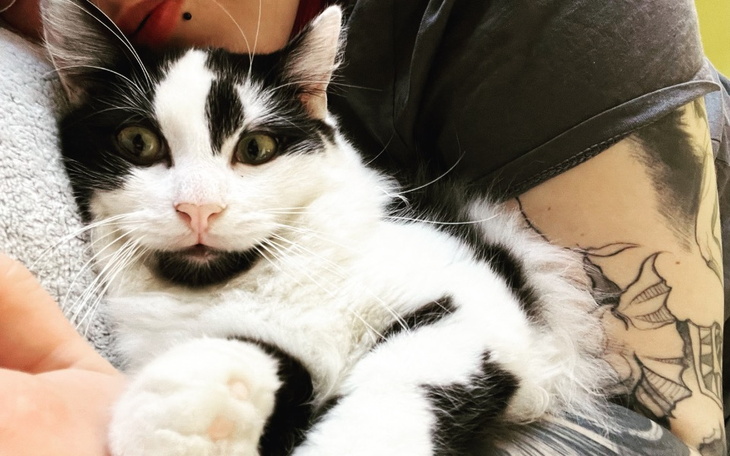 Zbiórka Smierć znów się o niego upomina - zdjęcie główne