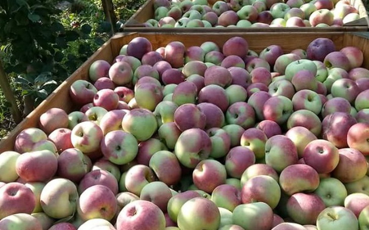 Zbiórka Zakup gospodarstwa - zdjęcie główne