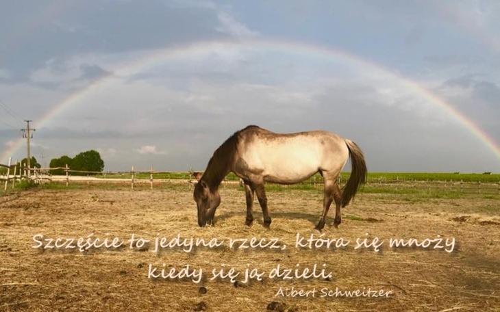 Zbiórka Franek i Serka - zdjęcie główne