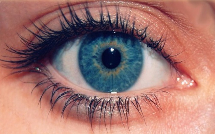 Zbiórka Zabieg laserowej korekcji wady - zdjęcie główne