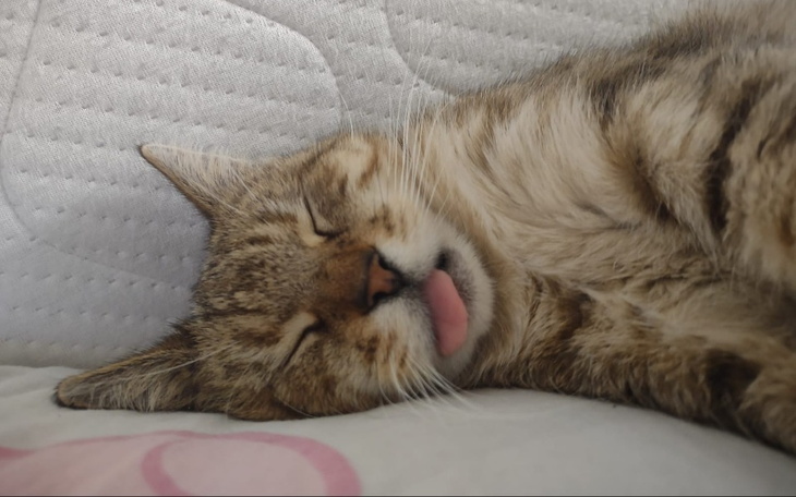 Zbiórka Zabieg Matyldy - zdjęcie główne