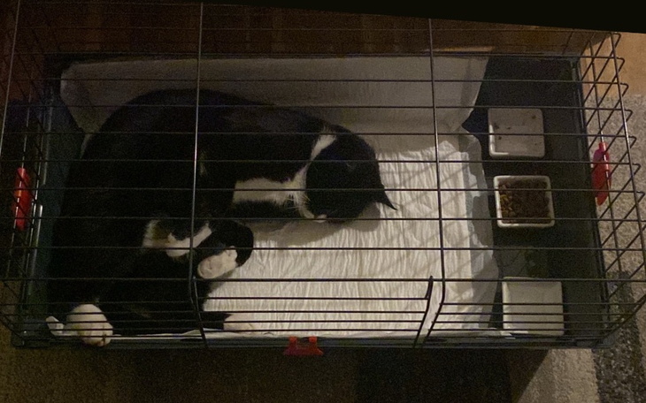 Zbiórka Pomoc dla Marcelka po wypadku - zdjęcie główne