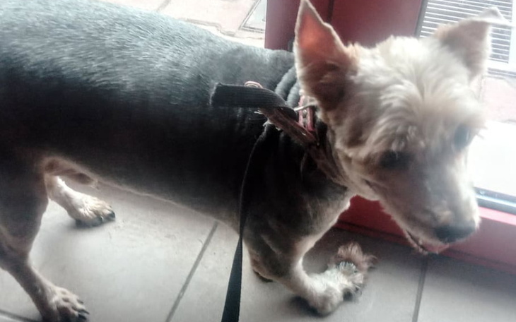 Zbiórka Na operację Spajka i reszty bid - zdjęcie główne