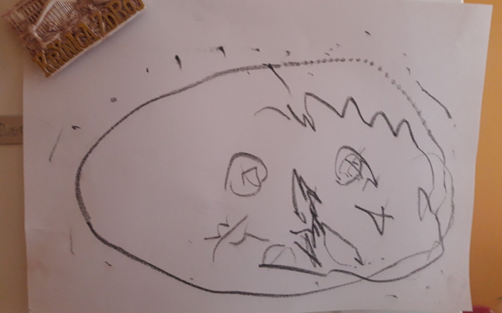 Zbiórka życie z miastenią - zdjęcie główne