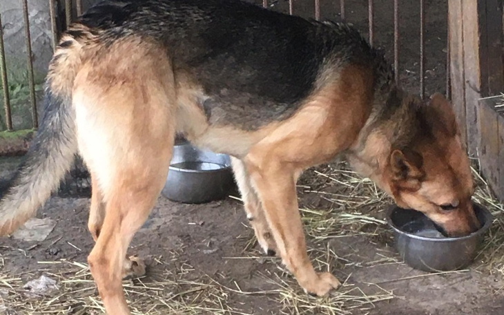 Zbiórka Oddany, bo niepotrzebny - zdjęcie główne