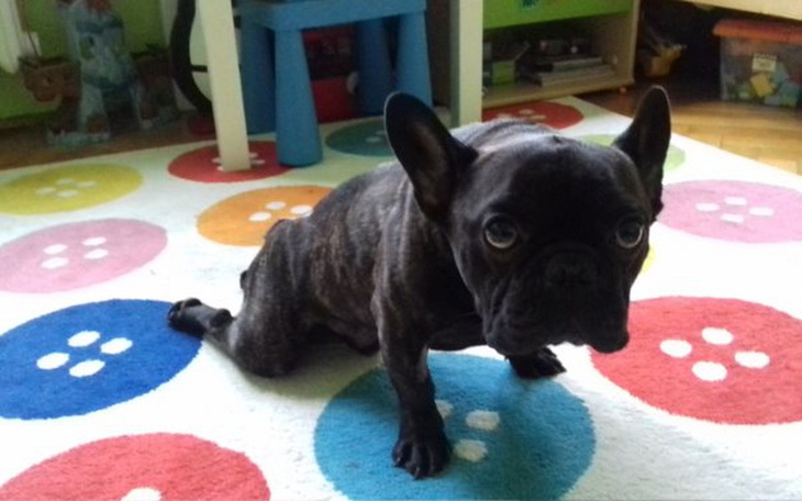 Zbiórka Operacja by żyć bez bólu - zdjęcie główne