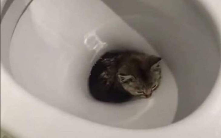 Zbiórka Doładowanie telefonu 30zl - zdjęcie główne