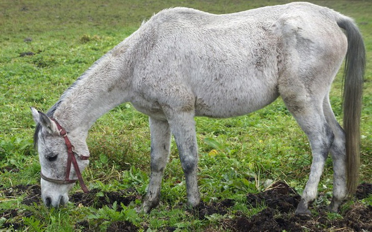 Zbiórka Kolibotek chce żyć! - zdjęcie główne