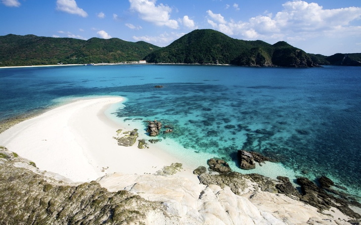 Zbiórka Zbiórka na Wycieczkę do Japonii - zdjęcie główne