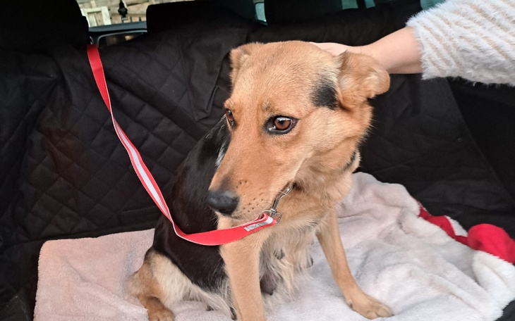 Zbiórka Hope prosi o wsparcie - zdjęcie główne