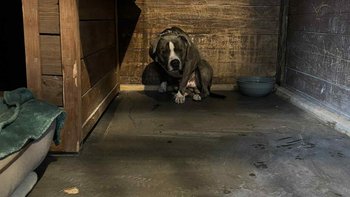 Zbiórka Strach na widok ludzkiej ręki... - miniaturka zdjęcia