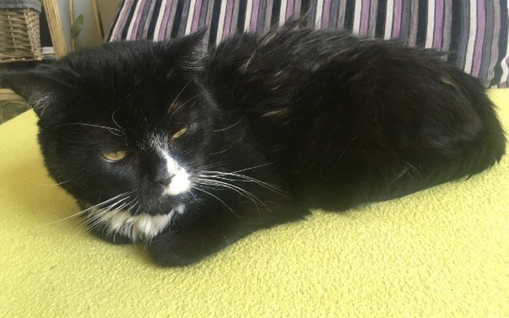 Zbiórka Chora Fiona potrzebuje pomocy - zdjęcie główne