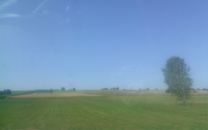 Zbiórka Zbieram na wesele z ukochana - zdjęcie główne