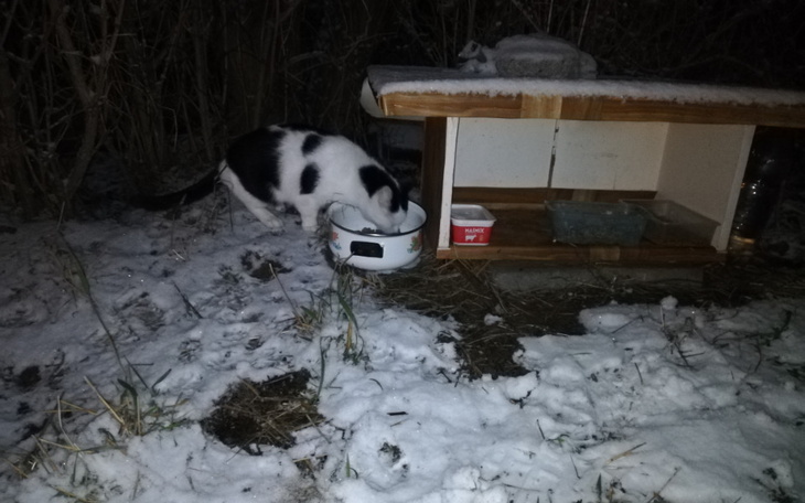 Zbiórka Dzięki Wam się udało, dziękuję - zdjęcie główne