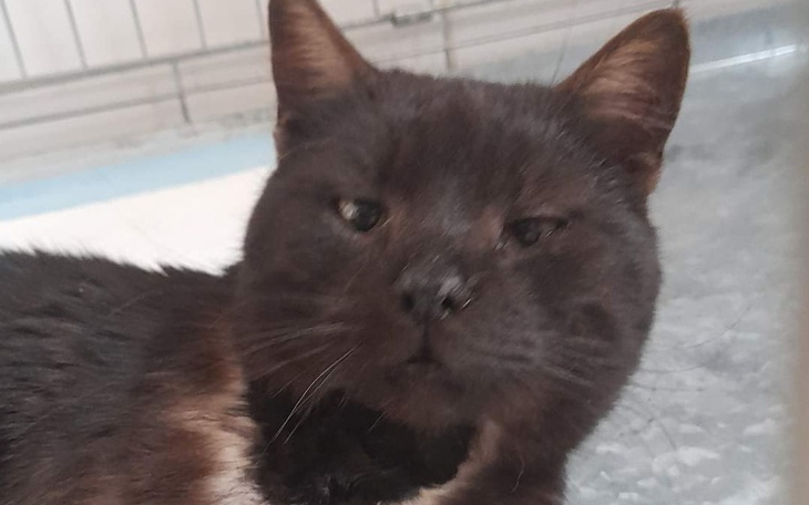 Zbiórka Tymon - zdjęcie główne