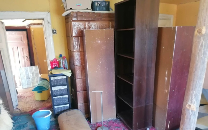 Zbiórka Rozbudowa i remont Kociarni - zdjęcie główne