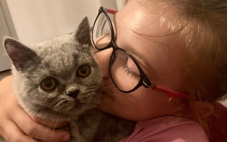 Zbiórka Kotek Elliotek - zdjęcie główne