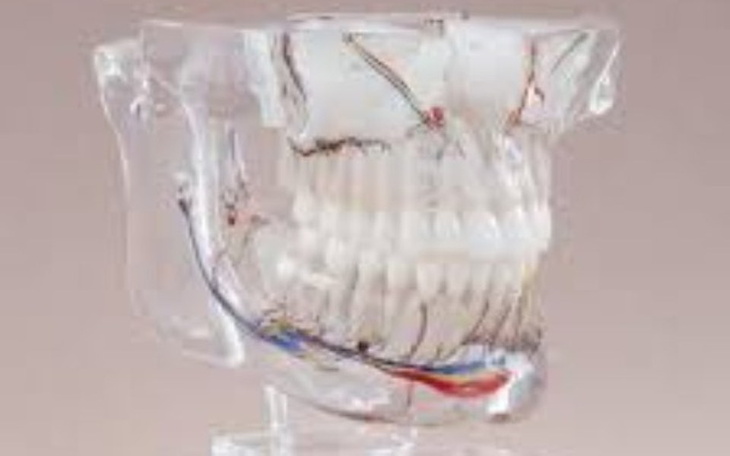 Zbiórka Zbieram na Operacje Szczęki. - zdjęcie główne