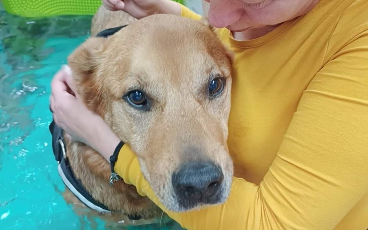 Zbiórka Staś pragnie chodzić - zdjęcie główne