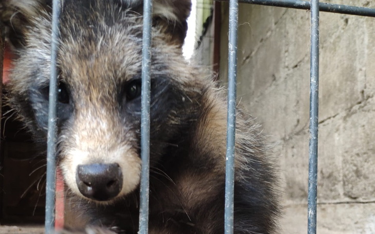 Zbiórka Powrót do natury dla JENOTA - zdjęcie główne