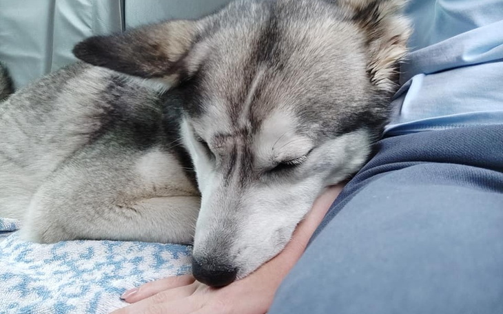 Zbiórka Na zdrowie i lepsze życie Mii - zdjęcie główne