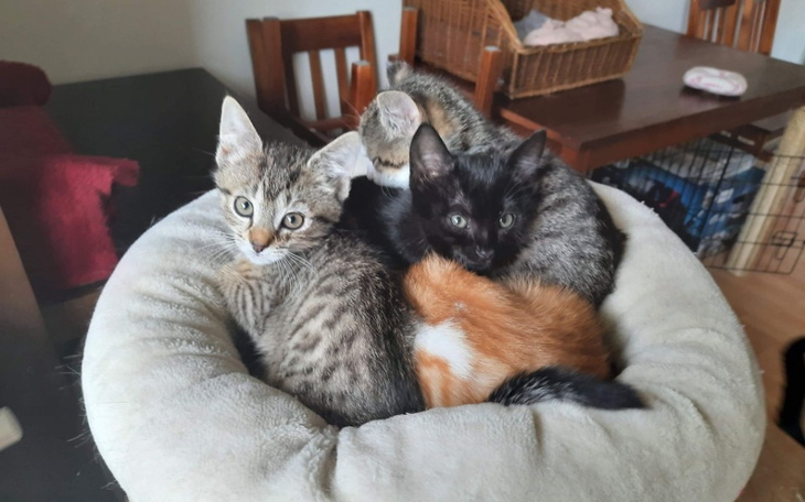 Zbiórka Czerwiec w Malinowy Zdroju - zdjęcie główne