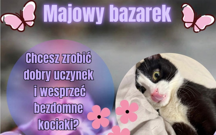 Majowy bazarek wspierający bezdomne kociaki.