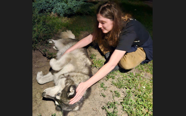 Młoda osoba głaszcze psa na trawie w nocy.