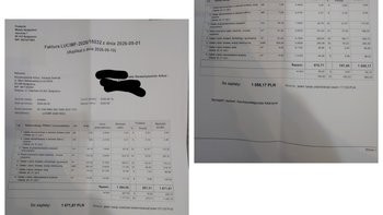Zbiórka Bezpieczne miejsce dla kotów - miniaturka zdjęcia