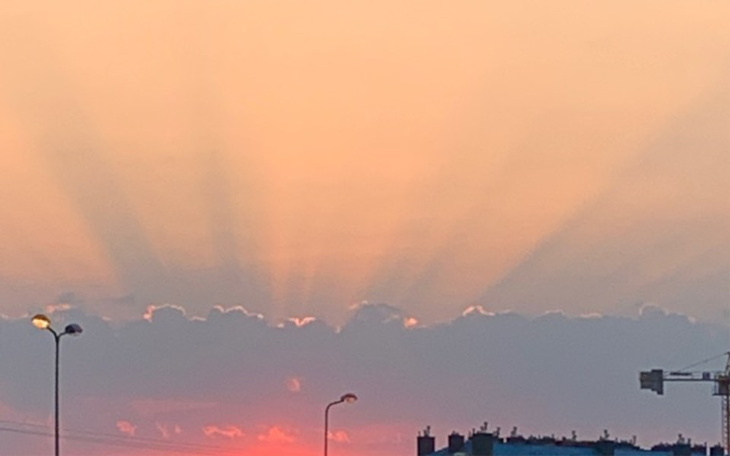 Zbiórka Prawdziwi cyberprzestępcy. - zdjęcie główne