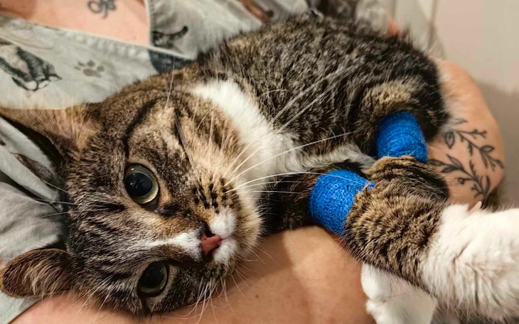 Zbiórka montaż klimatyzacji - zdjęcie główne