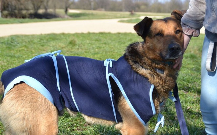 Zbiórka Kolejna operacja Foresta... - zdjęcie główne