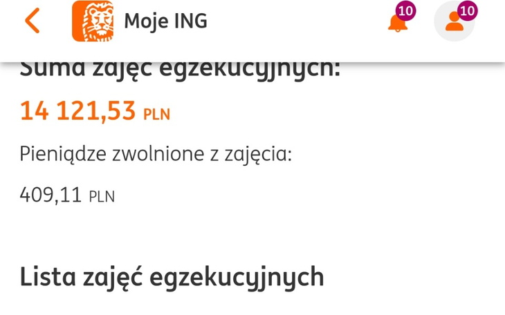 Zbiórka Żyć bez długu. - zdjęcie główne